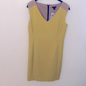 Ann Taylor Dress NWT Size 6